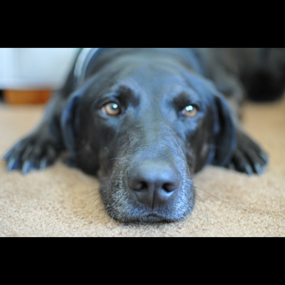 Meet your Posher, Kristin